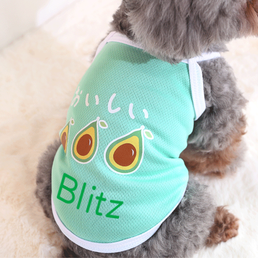 Personalized Cute Breathable Pet Summer Cool Mesh Vest | BKPet205