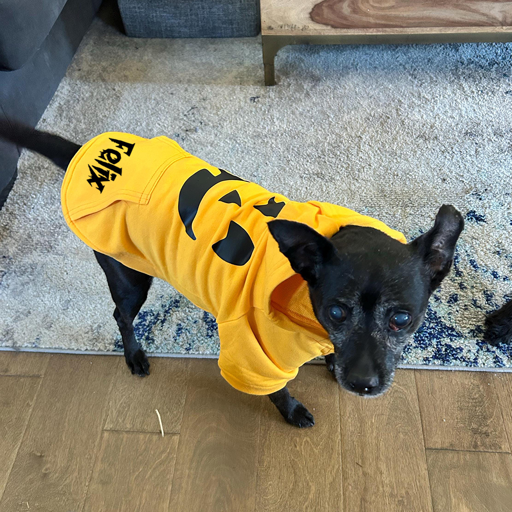 Personalized Halloween Puppy Hoodie for Comfort & Unique | CWHalloween56