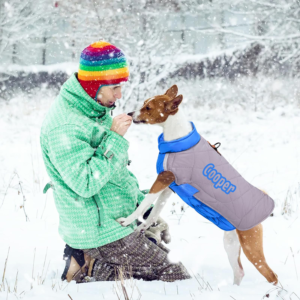 Personalized Pet Winter Warm Reflective Safety Puffer Vest | BKPet274
