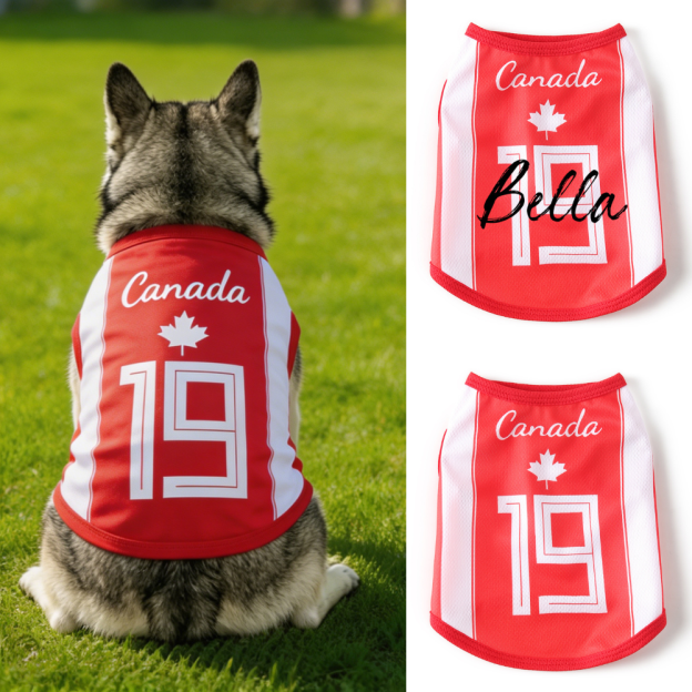 Personalized Dog & Cat Soccer Fan Sporty Vest | MNCloth216