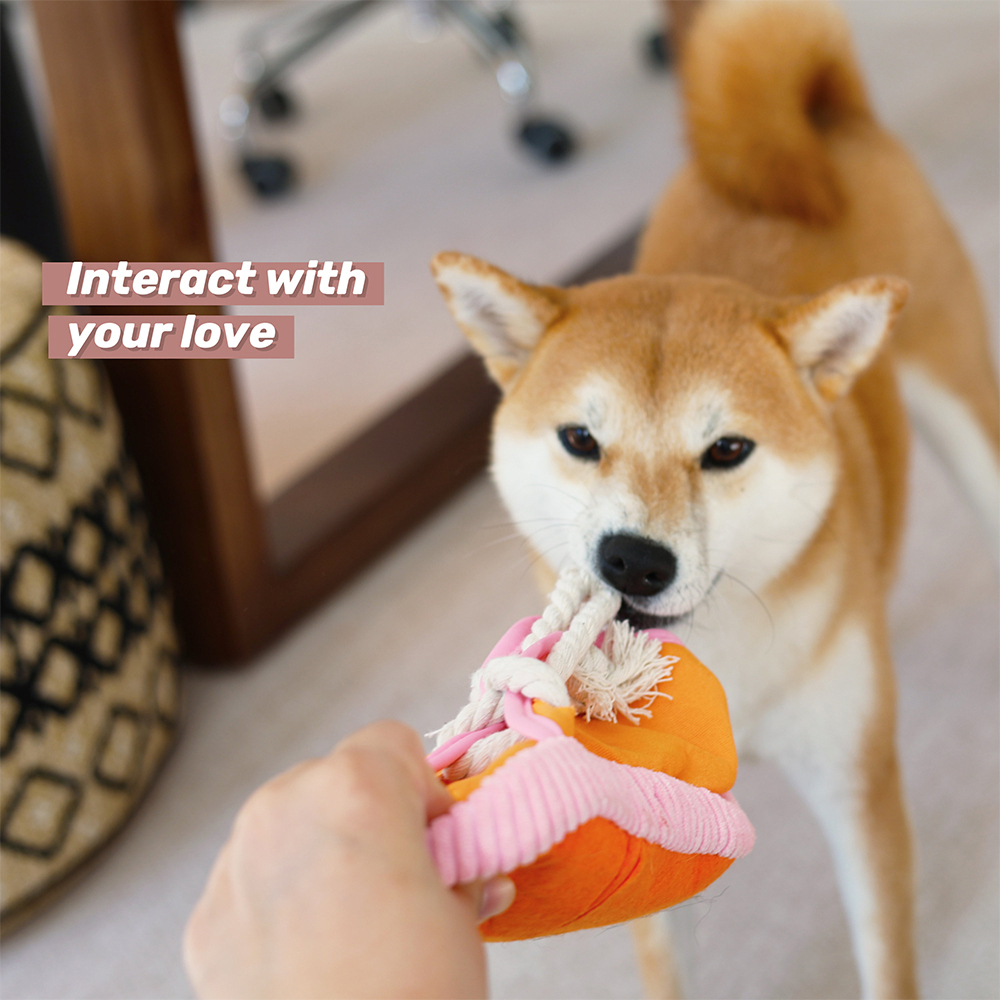 Personalized Puppy Soft Cotton Shoes Chew Toy | BKPet155