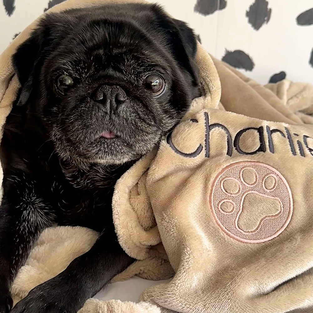 Personalized Warm Pet Blanket for Comfort & Unique | BKPet239
