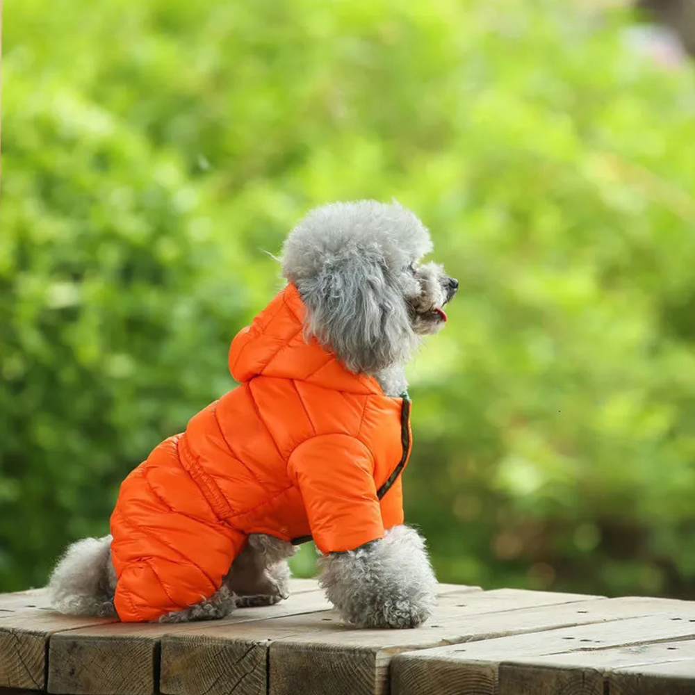 Personalized Pet Winter Warm Windproof Large Puffer Jacket | BKPet310