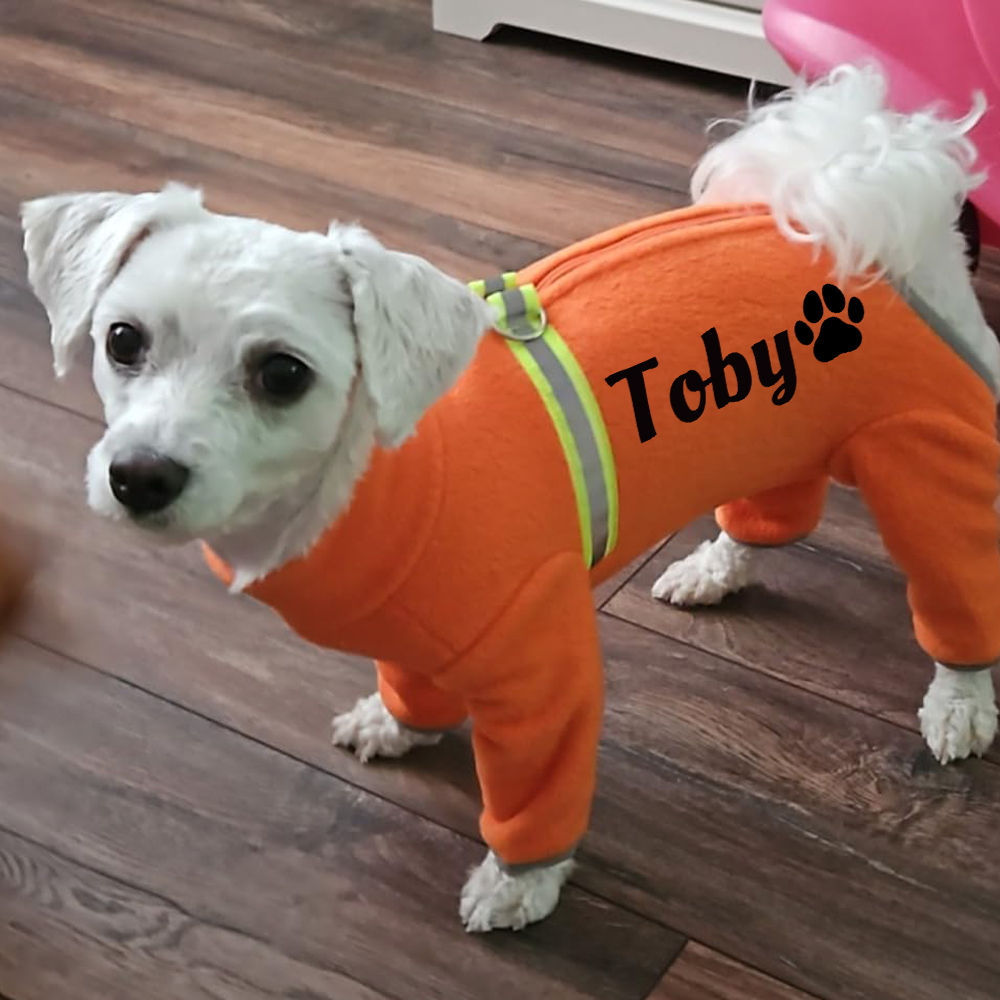 Personalized Pet Winter Warm Fleece Long Sleeve Sweater | BKPet312