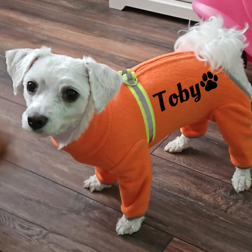 Personalized Pet Winter Warm Fleece Long Sleeve Sweater | BKPet312