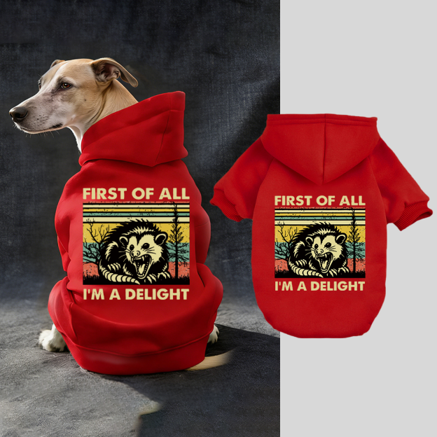 FIRST OF ALL I'M A DELIGHT Puppy Hoodie | BKPet331