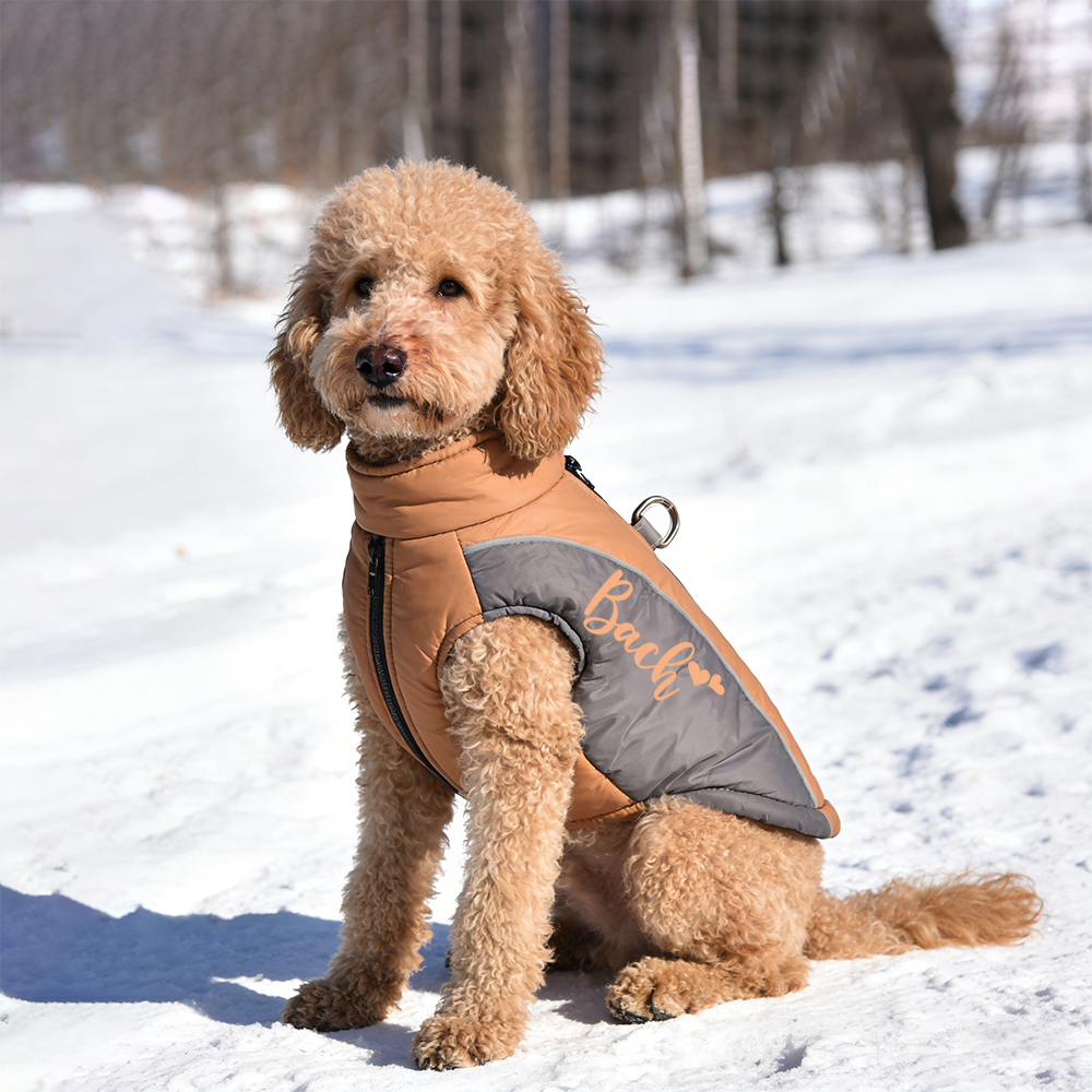 Personalized Pet Winter Warm Windproof Puffer Jacket | BKPet349