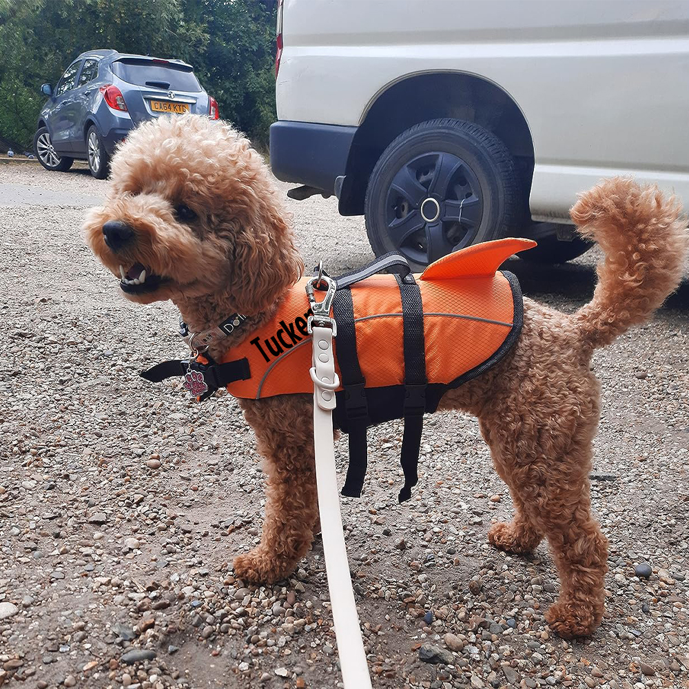 Personalized Pet Swimming Buoyancy Reflective Safety Shark Vest | BKPet407