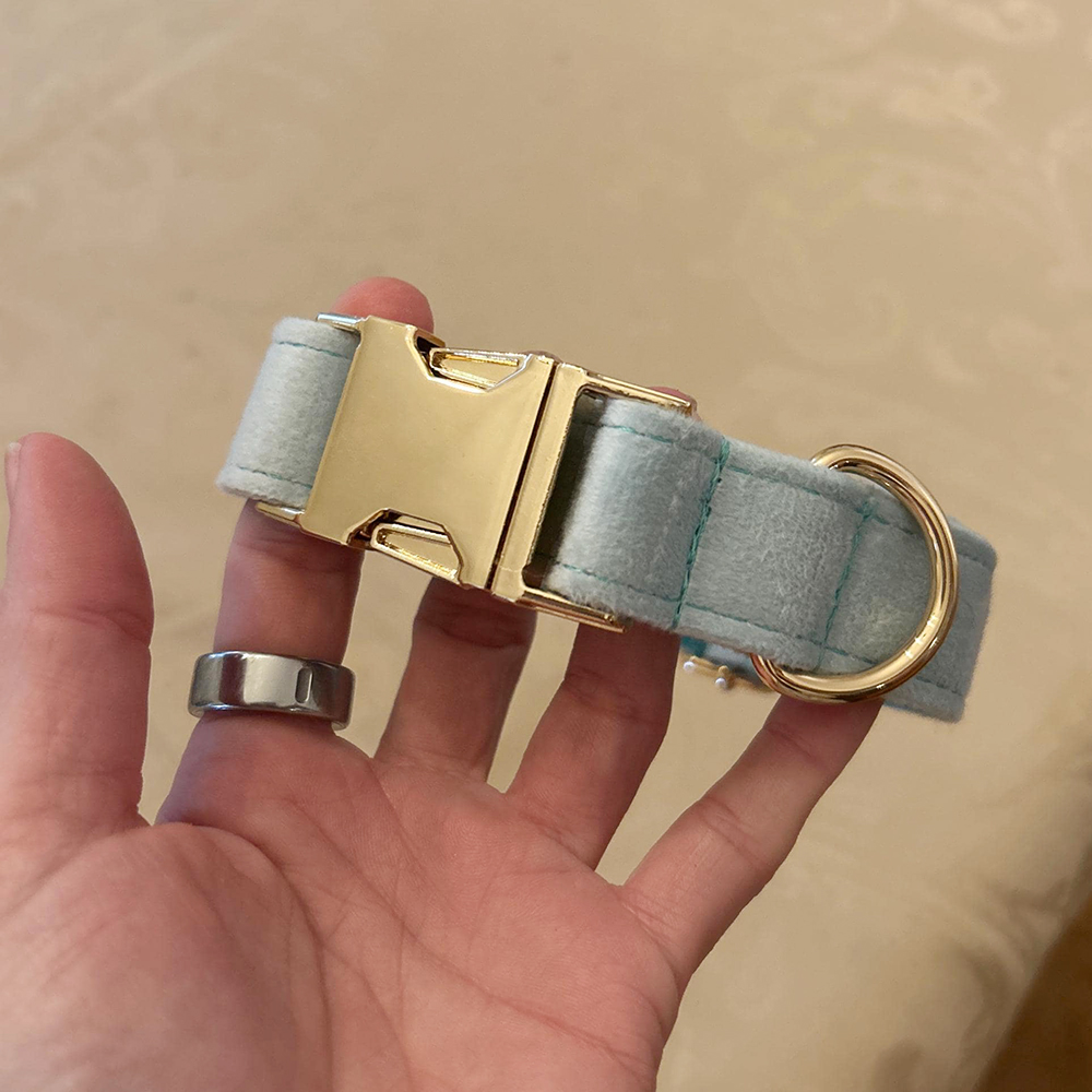 Personalized Embroidered Adjustable Velvet Pet Collar | BKPet425