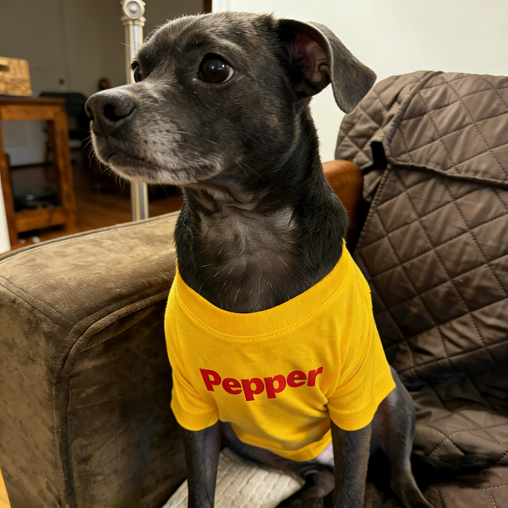 Personalized Chicken Nuggets Large Size Soft Pet Tee | BKPet447