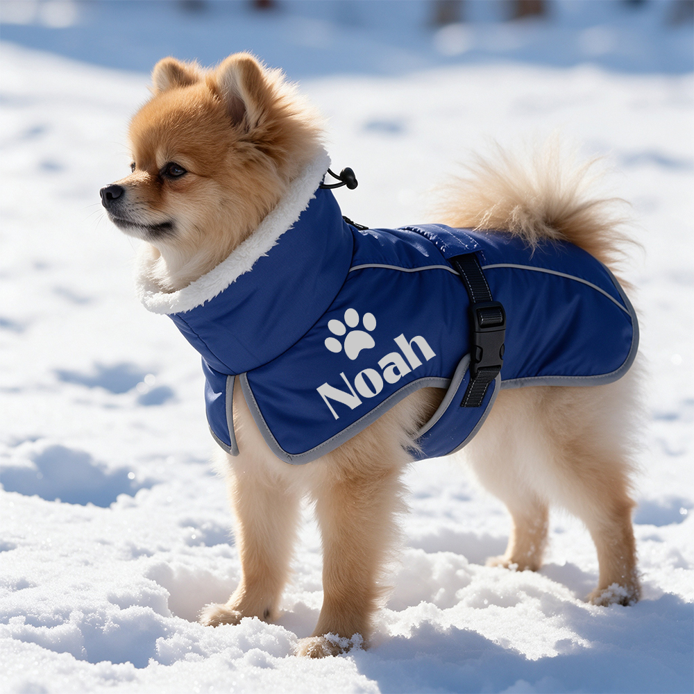 Personalized Winter Warm & Waterproof Cotton Coat For Pets | BKPet595