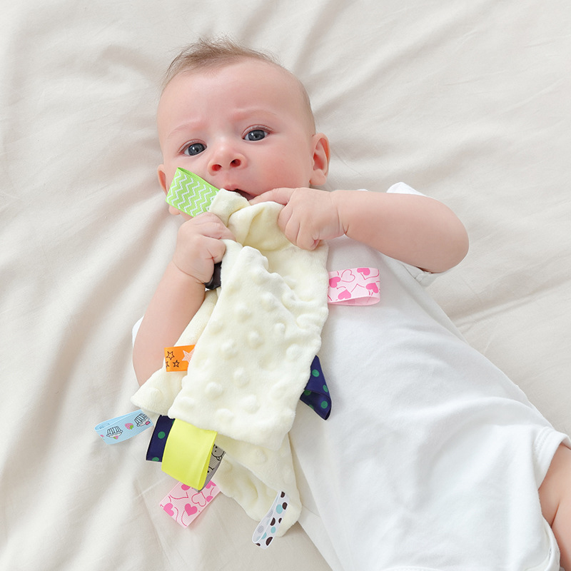 Personalized Baby Embroidery Comforter Ribbon Tag Blanket | MNBaby06