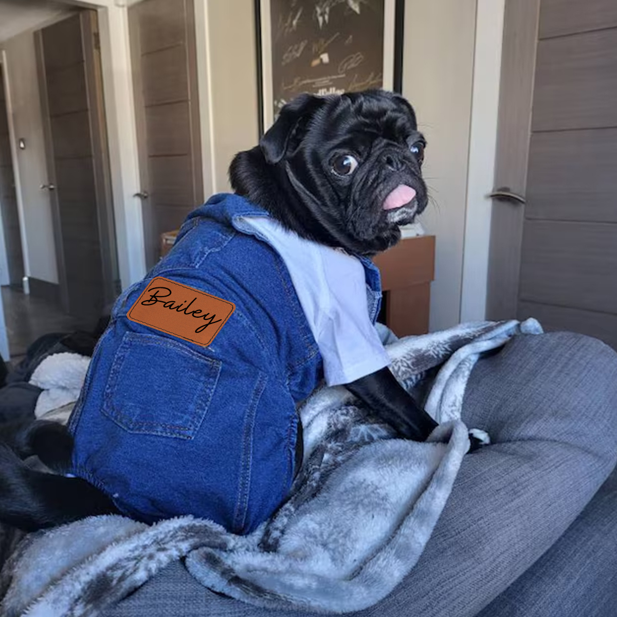 Personalized Leather Patch Pets Classic Overall Dungarees | BKPet56