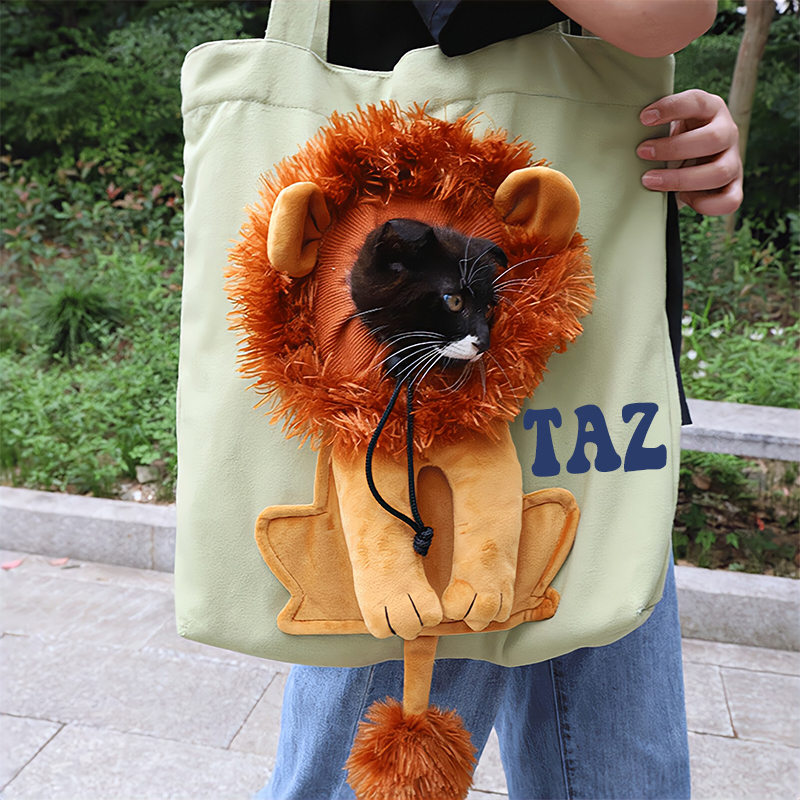 Personalized Lion Design Portable Breathable Cute Pet Carriers | BKPet60