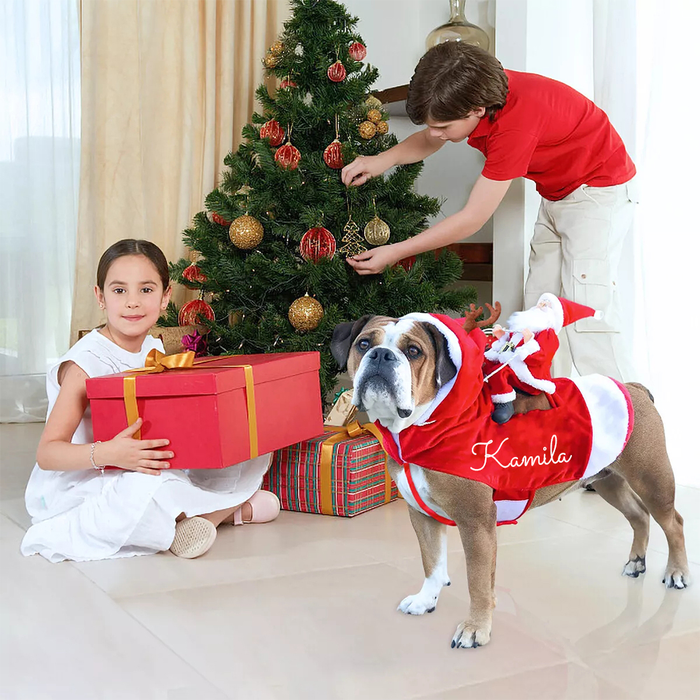 Personalized Christmas Santa Pet Riding Clothes | BKPet96