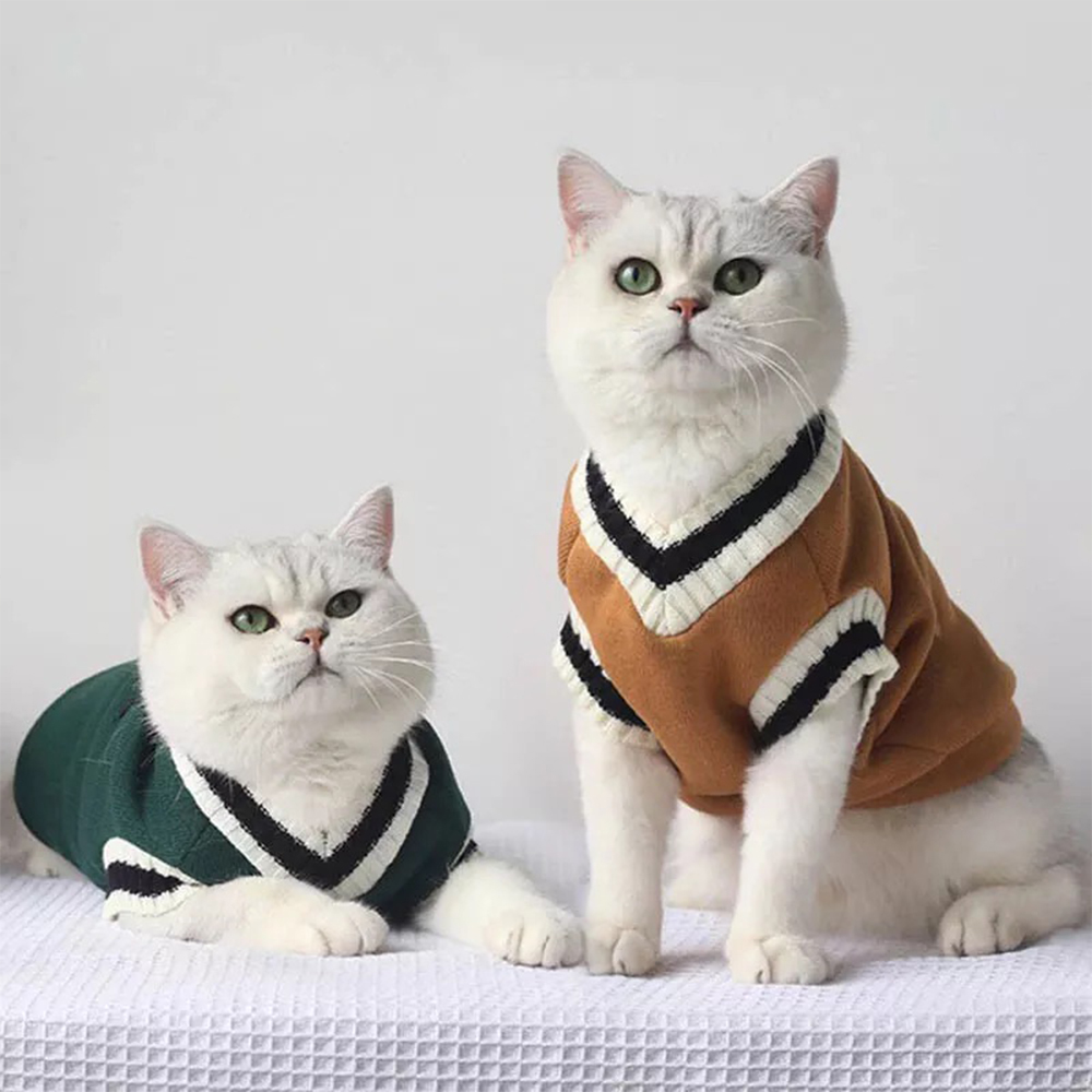 Personalized Leather Patch Pets Sweater | BKPet98