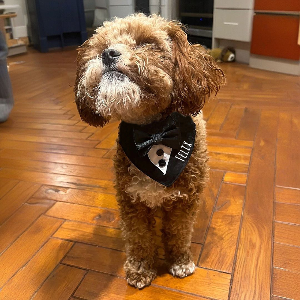 Personalized Wedding Pet Bow Tuxedo Suit | BKPet157