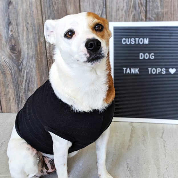 Personalized The 4th of July Soft Pet Shirt | BKPet151