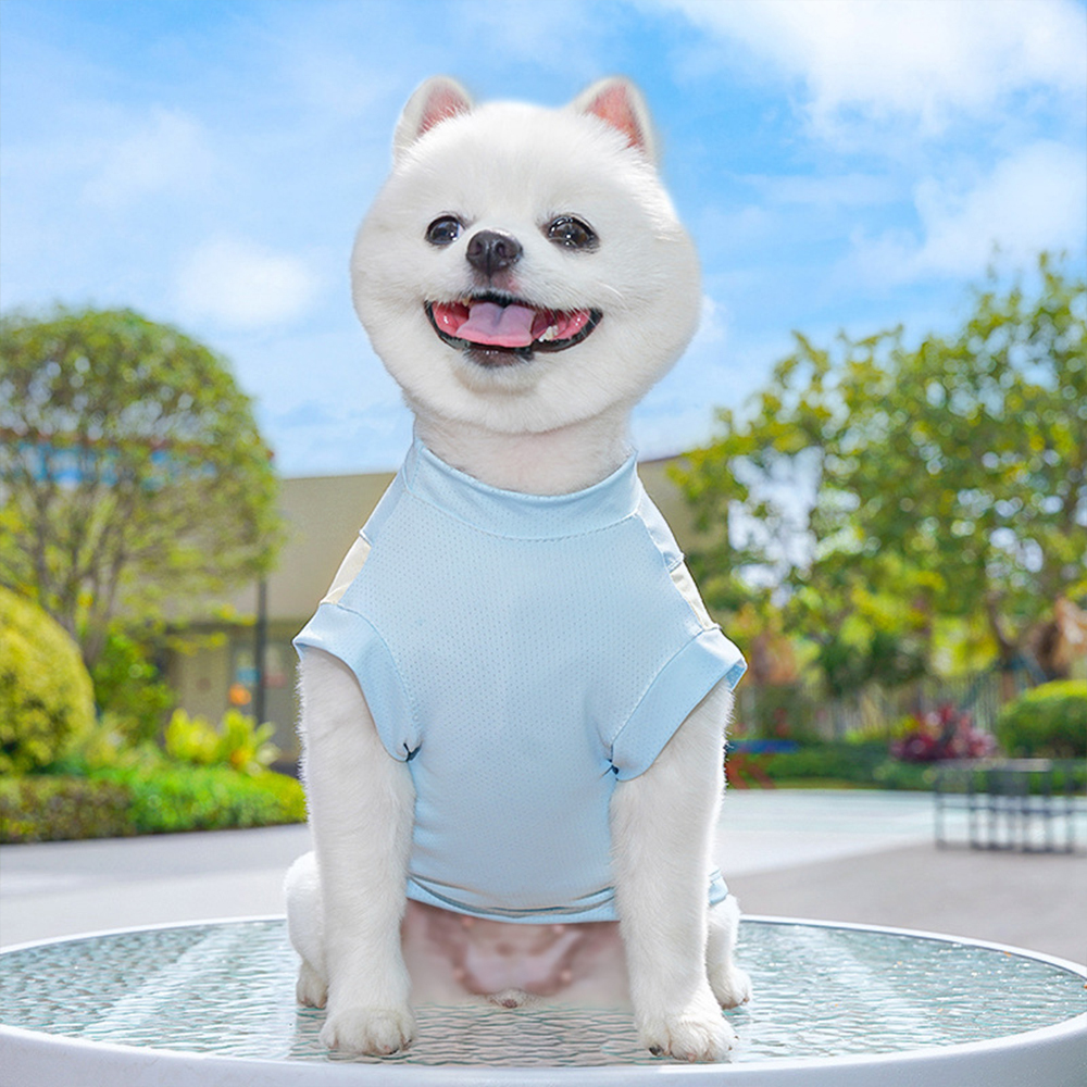 Personalized Pet Summer Cooling Quick-Drying Vest | BKPet155