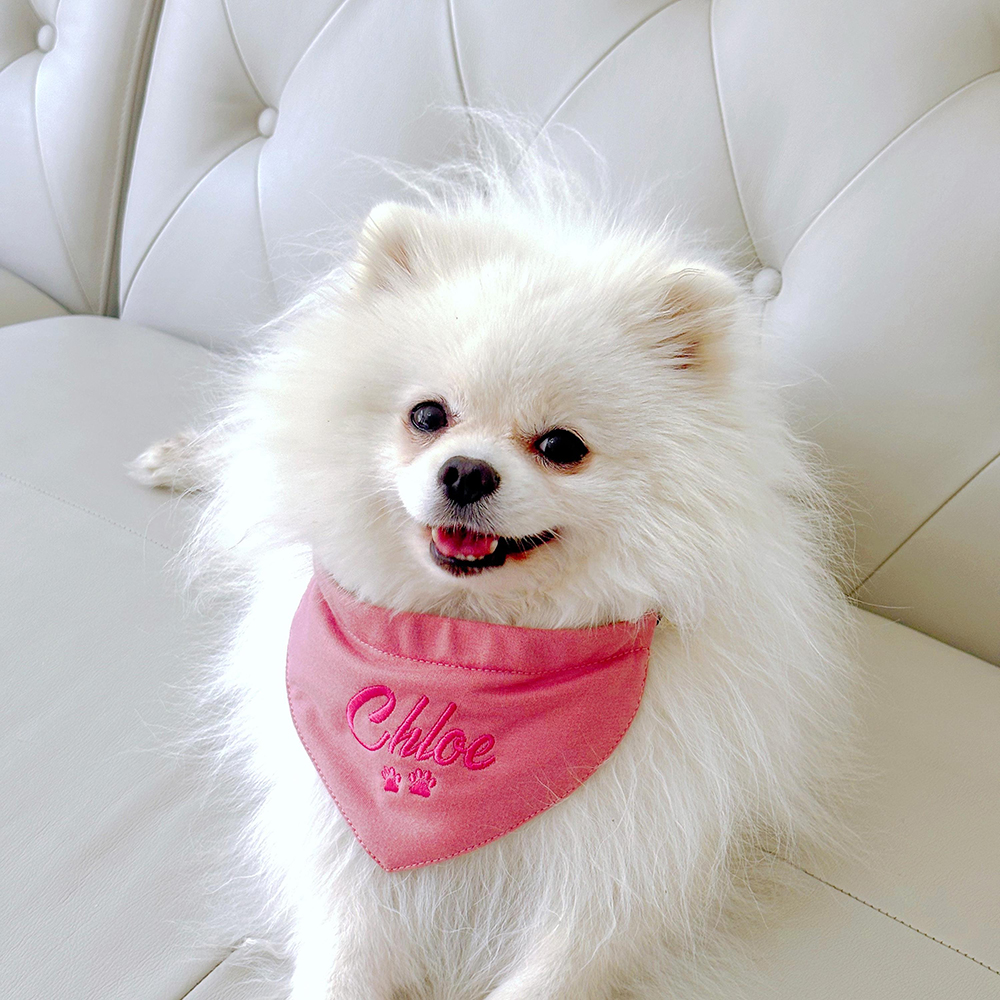 Personalized Embroidered Adjustable Dog Bandana | BKPet166