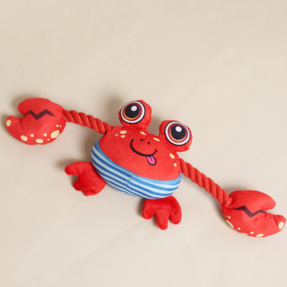 Personalized Handmade Pet Squeaky Interactive Chew Toy | BKPet172