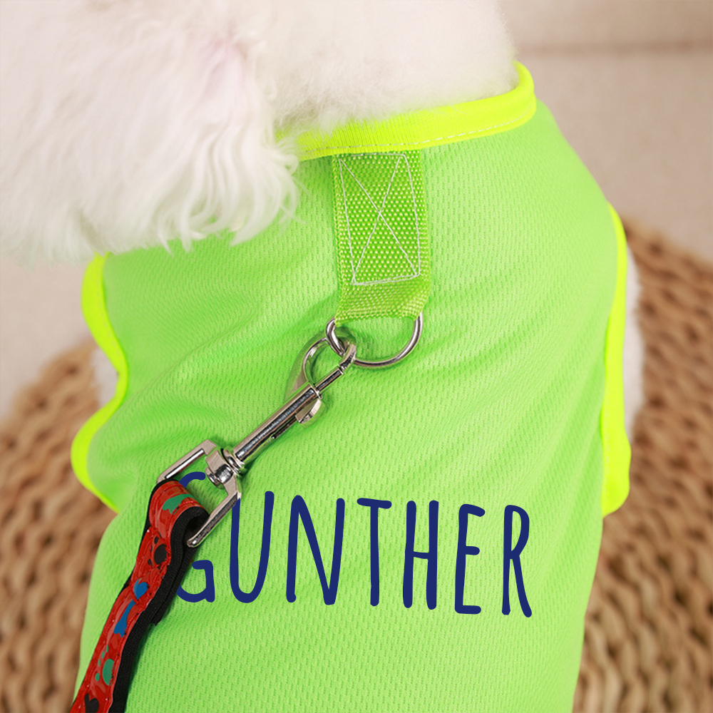 Personalized Colourful Pet Summer Cool Mesh Vest | BKPet173