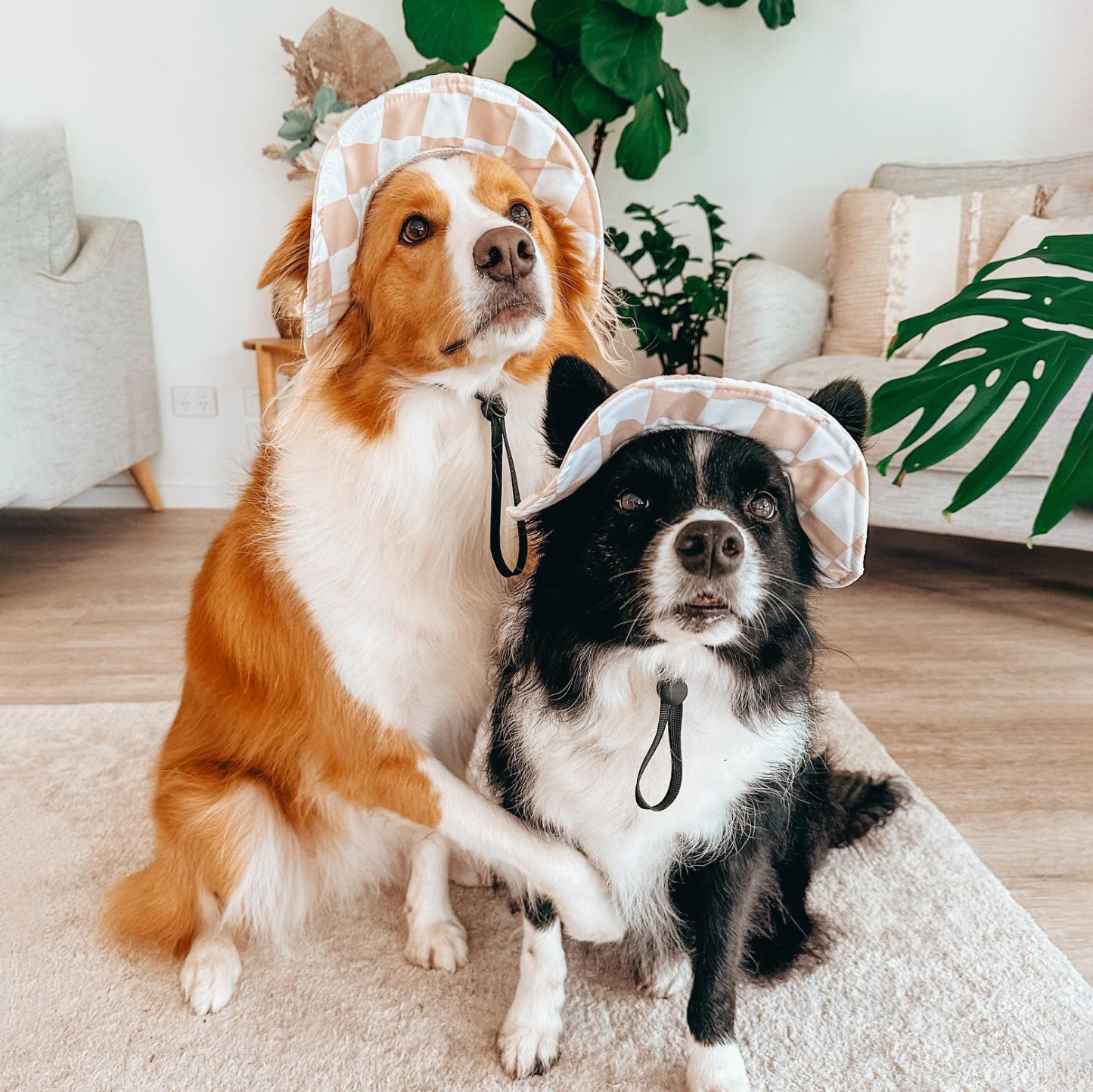 Personalized Leather Patch Pet Sun Hat with Ear Holes | BKPet67