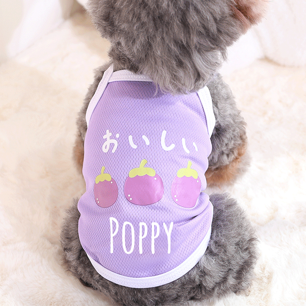 Personalized Cute Breathable Pet Summer Cool Mesh Vest | BKPet205