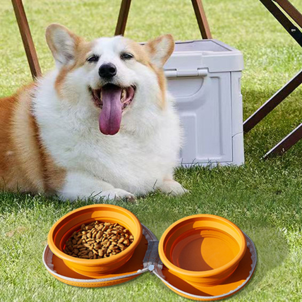 Personalized Collapsible Portable 2-in-1 Food & Water Dish Dog Bowl | BKPet214