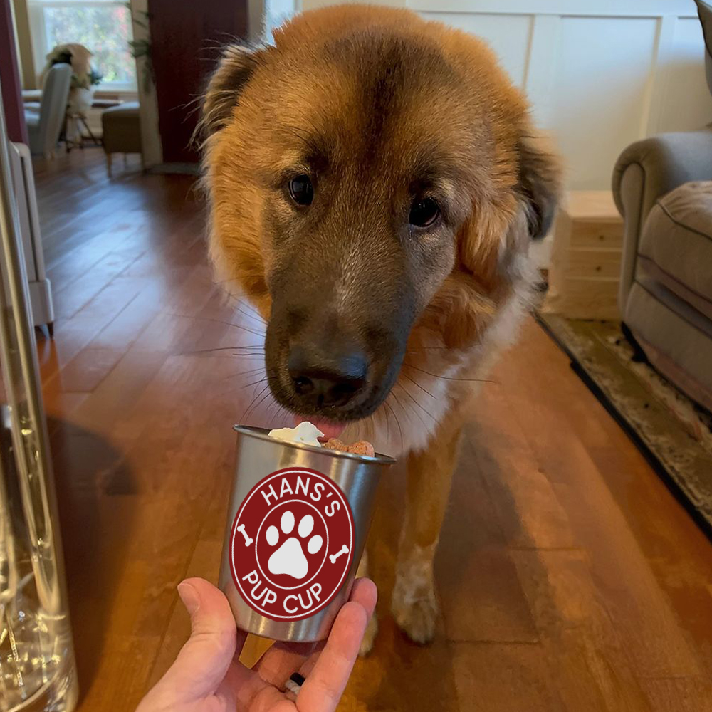 Personalized Pet Stainless Steel Reusable Pup Cup Mug | BKPet26301