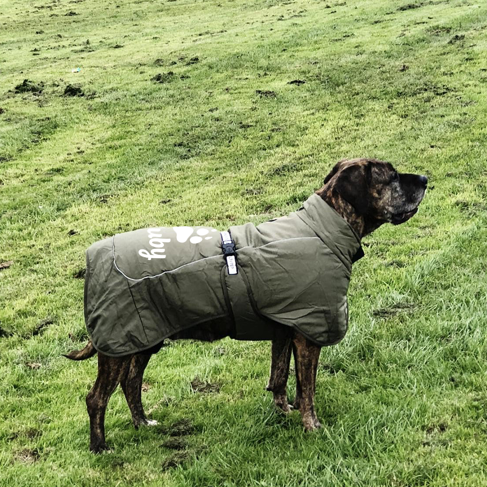 Personalized Pet Winter Warm Reflective Safety Puffer Vest | BKPet302