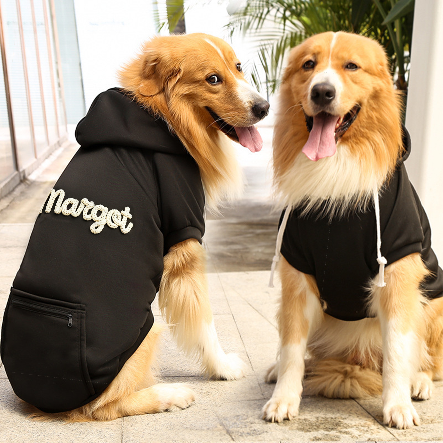 Personalized Warm Puppy Hoodie for Comfort & Unique | BKPet254