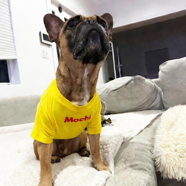 Personalized Chicken Nuggets Large Size Soft Pet Tee | BKPet447