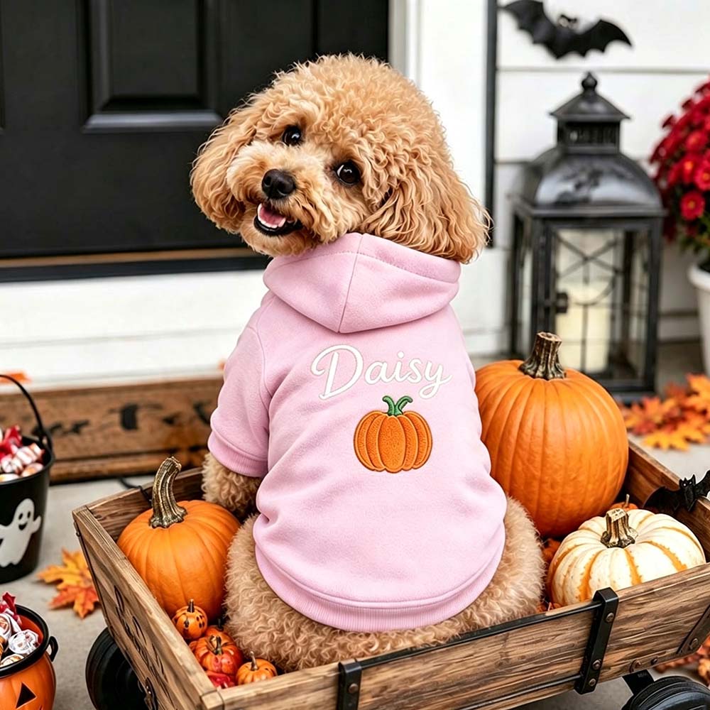 Personalized Embroidered Dog Hoodie with Halloween Icon | MNHalloween23