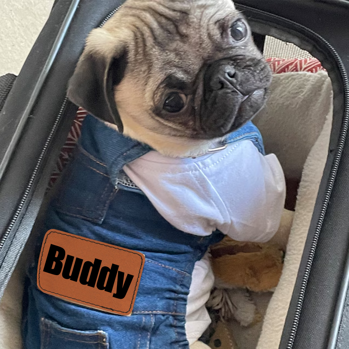 Personalized Leather Patch Pets Classic Overall Dungarees | BKPet56