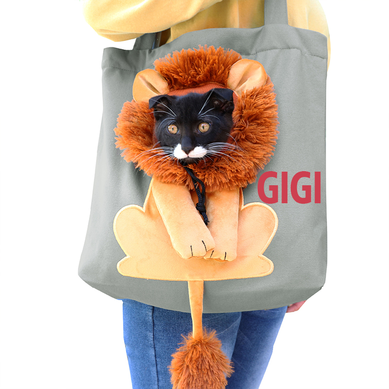 Personalized Lion Design Portable Breathable Cute Pet Carriers | BKPet60