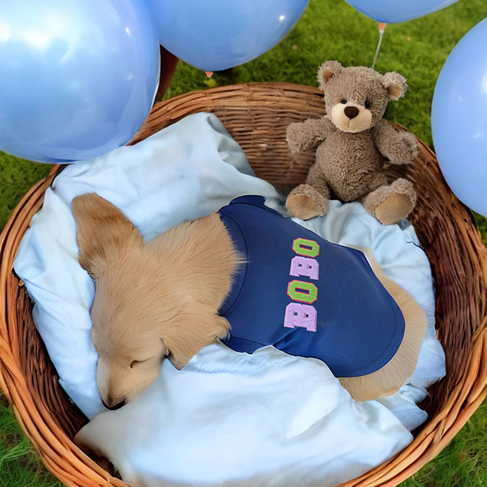 Personalized Varsity Letter Dog Hoodie for Comfort and Unique | BKPet140