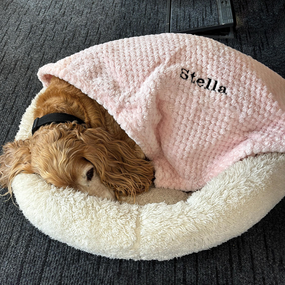 Personalized Embroidered Pet Soft Waffle Blanket | BKPet197