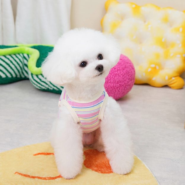Personalized Cute Stripe Pet Summer Cool Vest | BKPet204