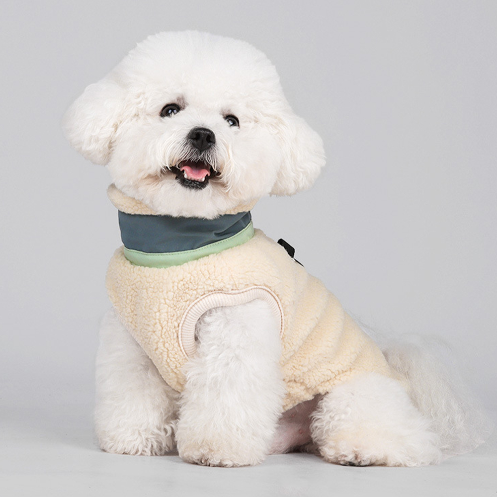 Personalized Leather Patch Pets Color Sweatshirts | BKPet275