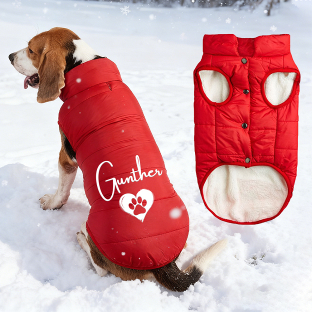 Personalized Pet Winter Warm Puffer Vest | BKPet14801