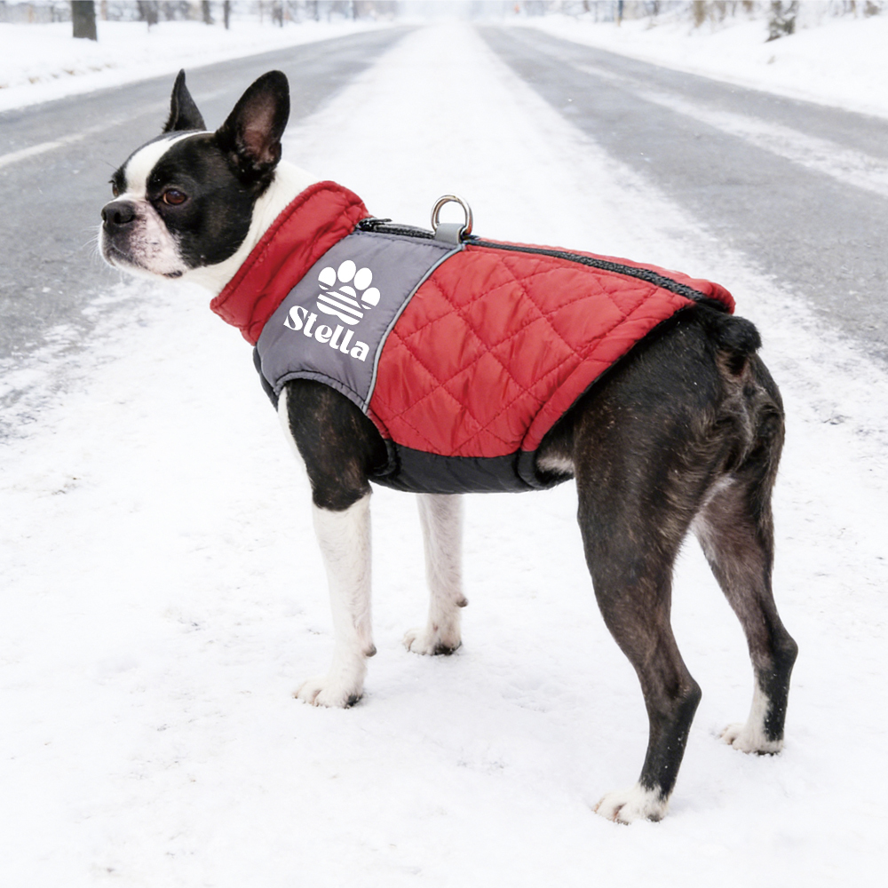 Personalized Pet Winter Warm Windproof Puffer Jacket | BKPet348