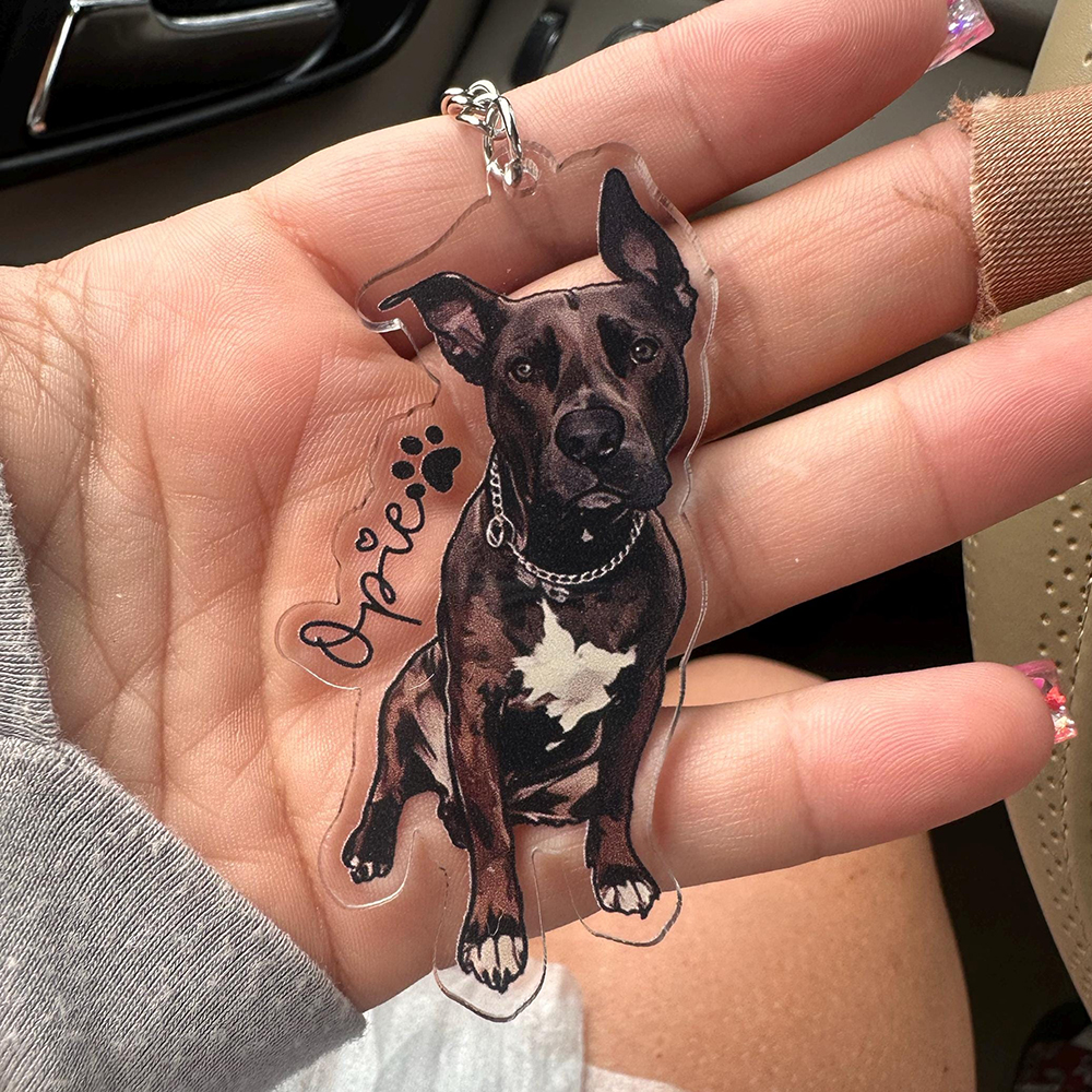 Personalized Illustrated Pet Portrait Memorial Photo Keychain | CWGift24