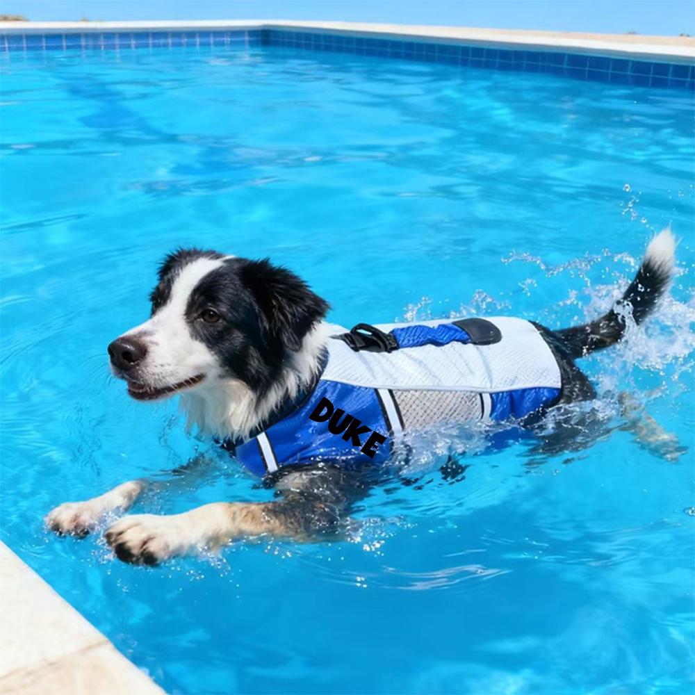 Personalized Pet Swimming Buoyancy Reflective Safety Shark Vest | BKPet406