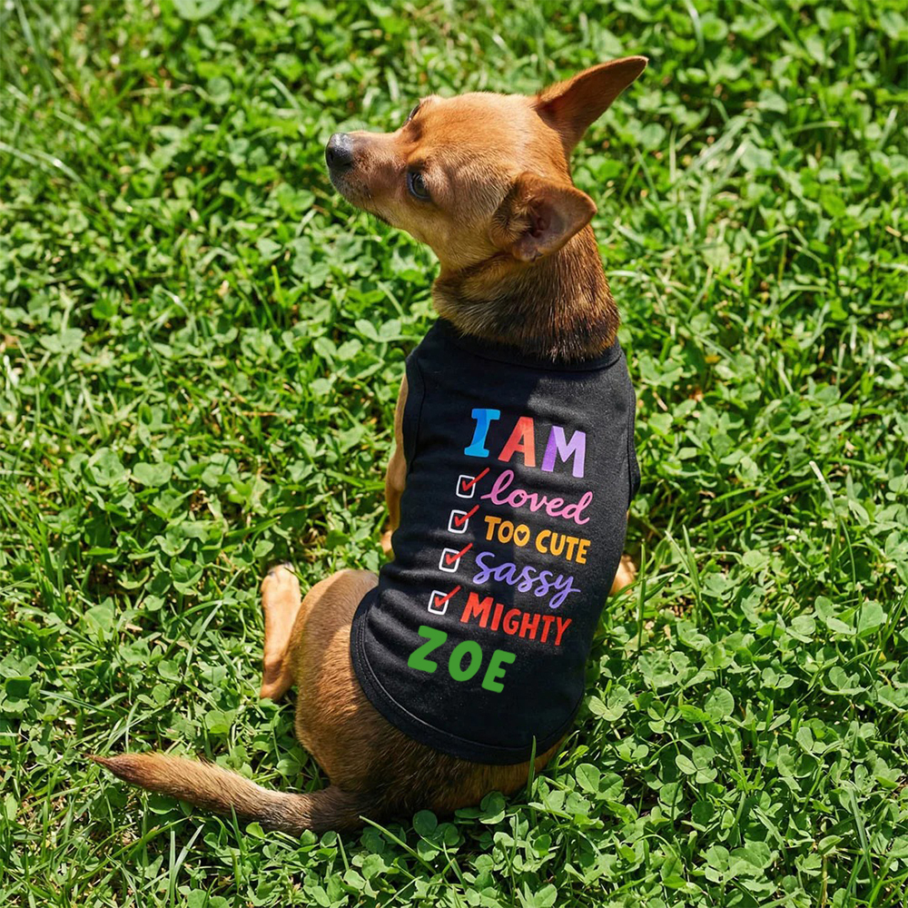 Personalized I AM Loved Checklist Pet Shirt | MNCloth208