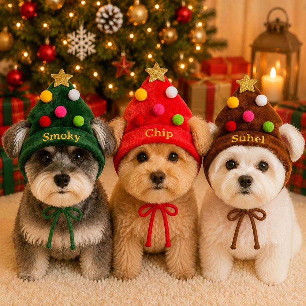 Personalized Embroidered Christmas Pets Hat | MCGift410