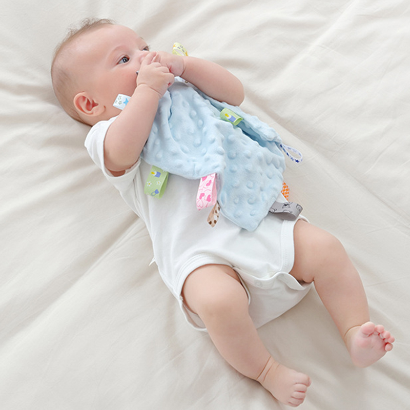 Personalized Baby Embroidery Comforter Ribbon Tag Blanket | MNBaby06
