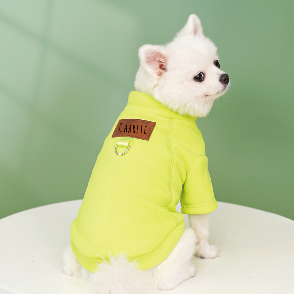 Personalized Leather Patch Pets Color Sweatshirts | BKPet91