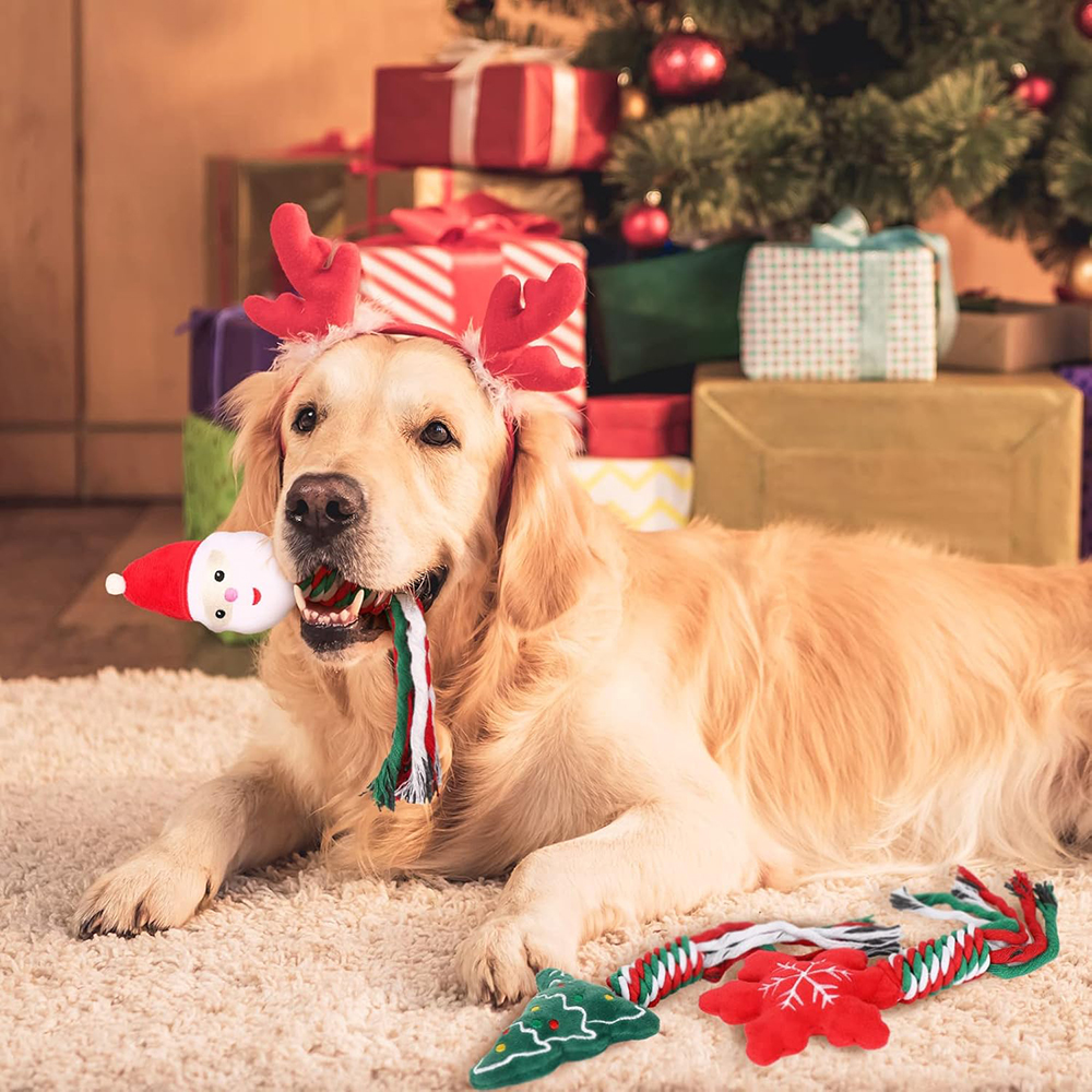 Personalized Christmas Pet Squeaky Chew Toy | MCGift111