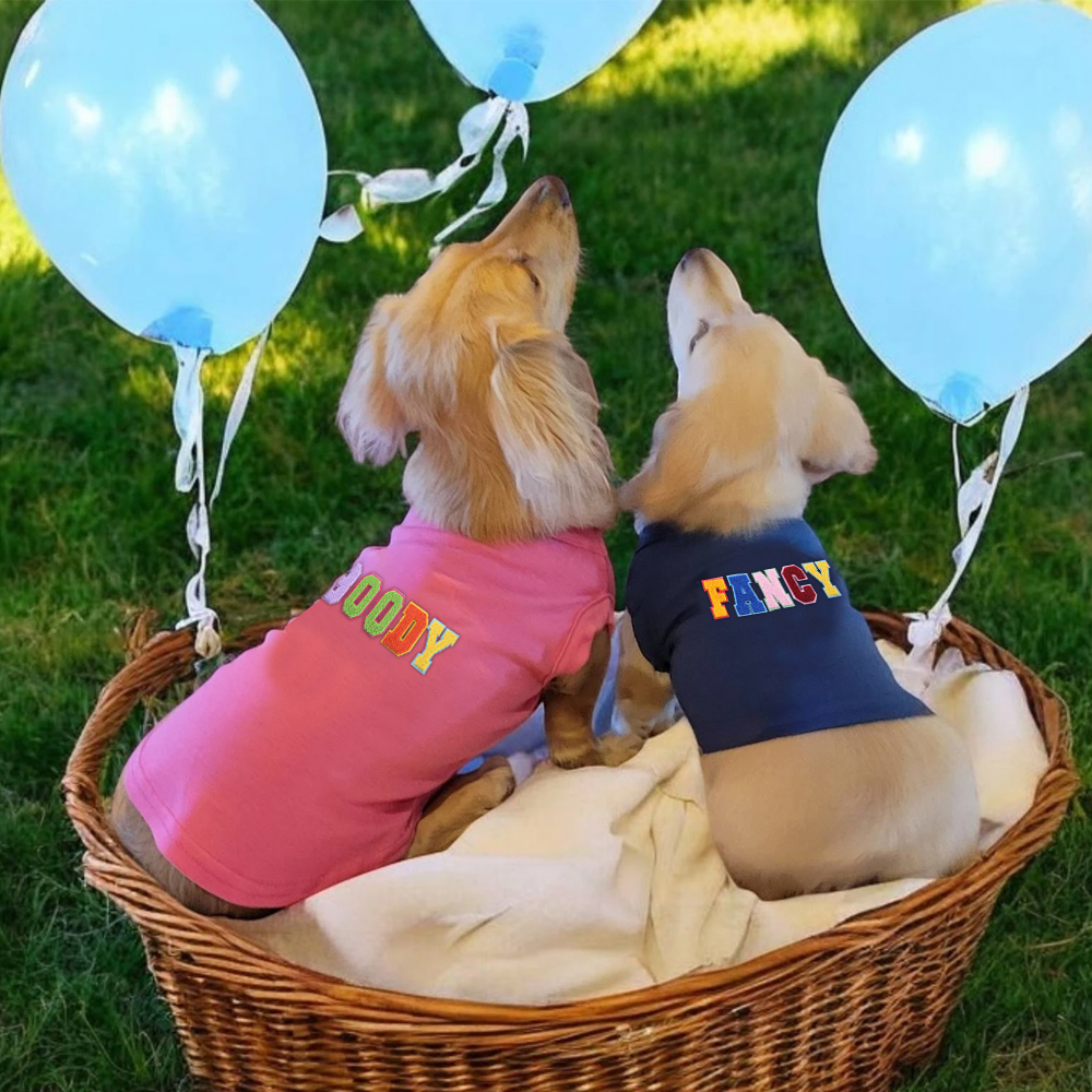 Personalized Varsity Letter Dog Hoodie for Comfort and Unique | BKPet140